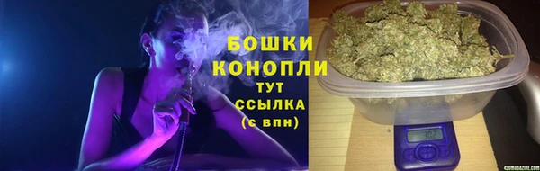 гашик Заволжье