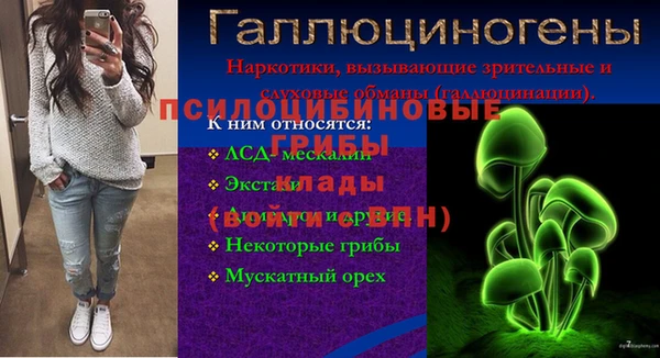 гашик Заволжье