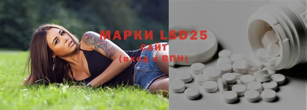 гашик Заволжье