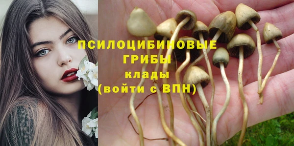 гашиш Заволжск