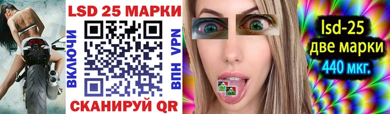 Купить  Дубовка  Марки 25I-NBOMe 1500мкг 