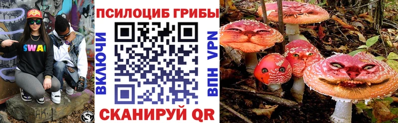 Галлюциногенные грибы Psilocybe  Купить где  Дубовка 