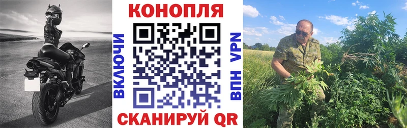 Бошки Шишки ГИДРОПОН  Купить  Дубовка 